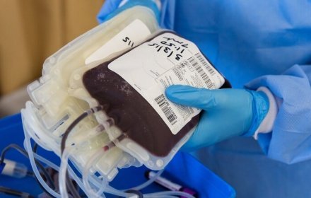 Белгородского врача отправили под суд после смерти пациентки из-за переливания крови