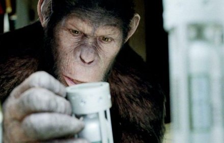 Минздрав обнародовал временные рекомендации по борьбе с оспой обезьян в России