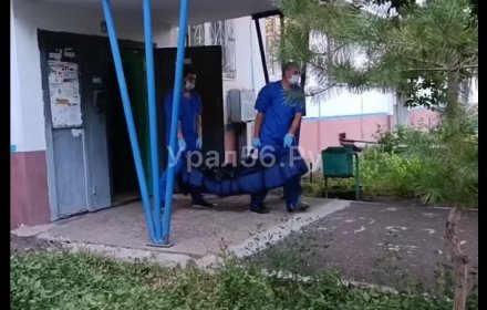 Опубликовано видео с места убийства врача в Оренбурге