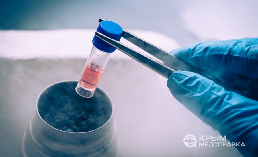 Правительство готово разрешить ввоз биомедицинских клеточных продуктов без регистрации
